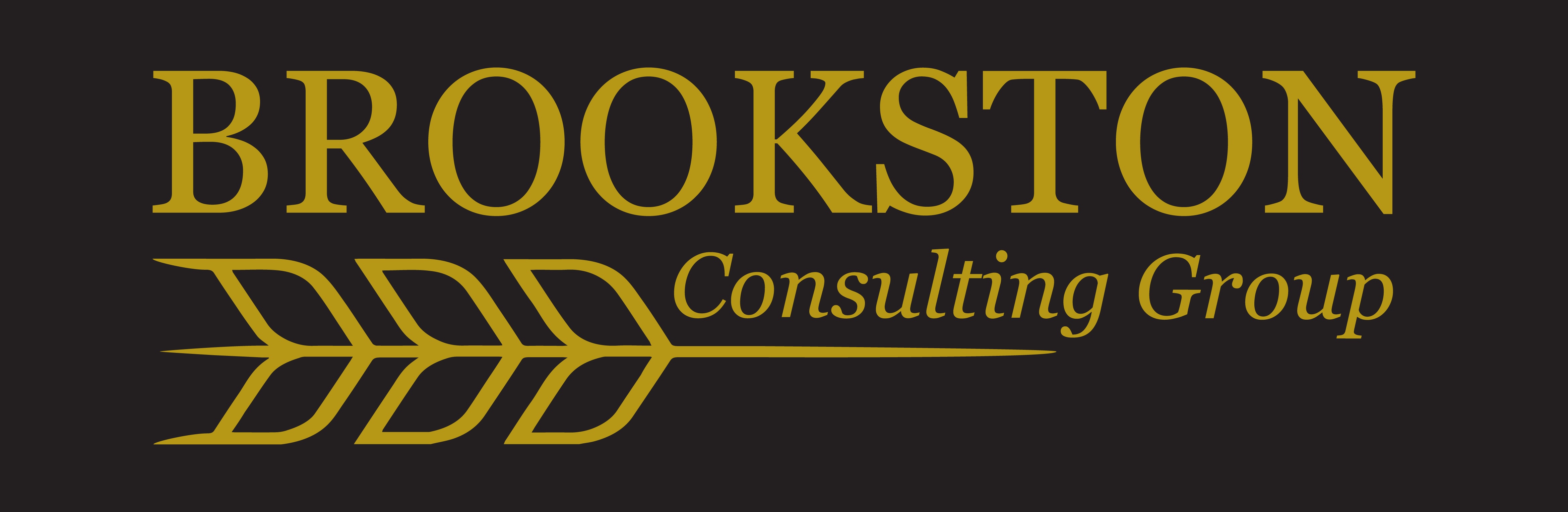 Brookston Consulting Group